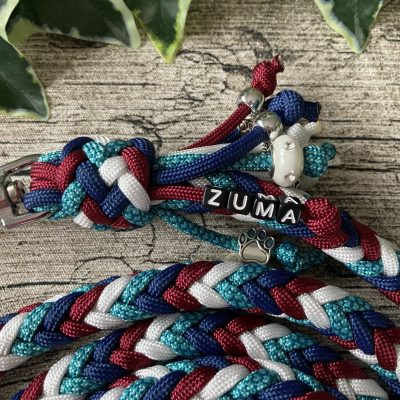 Hundeleine / Führleine aus handgeflochtenem Paracord in Farbkombi WinterFlame, verstellbar, verschiedene Längen